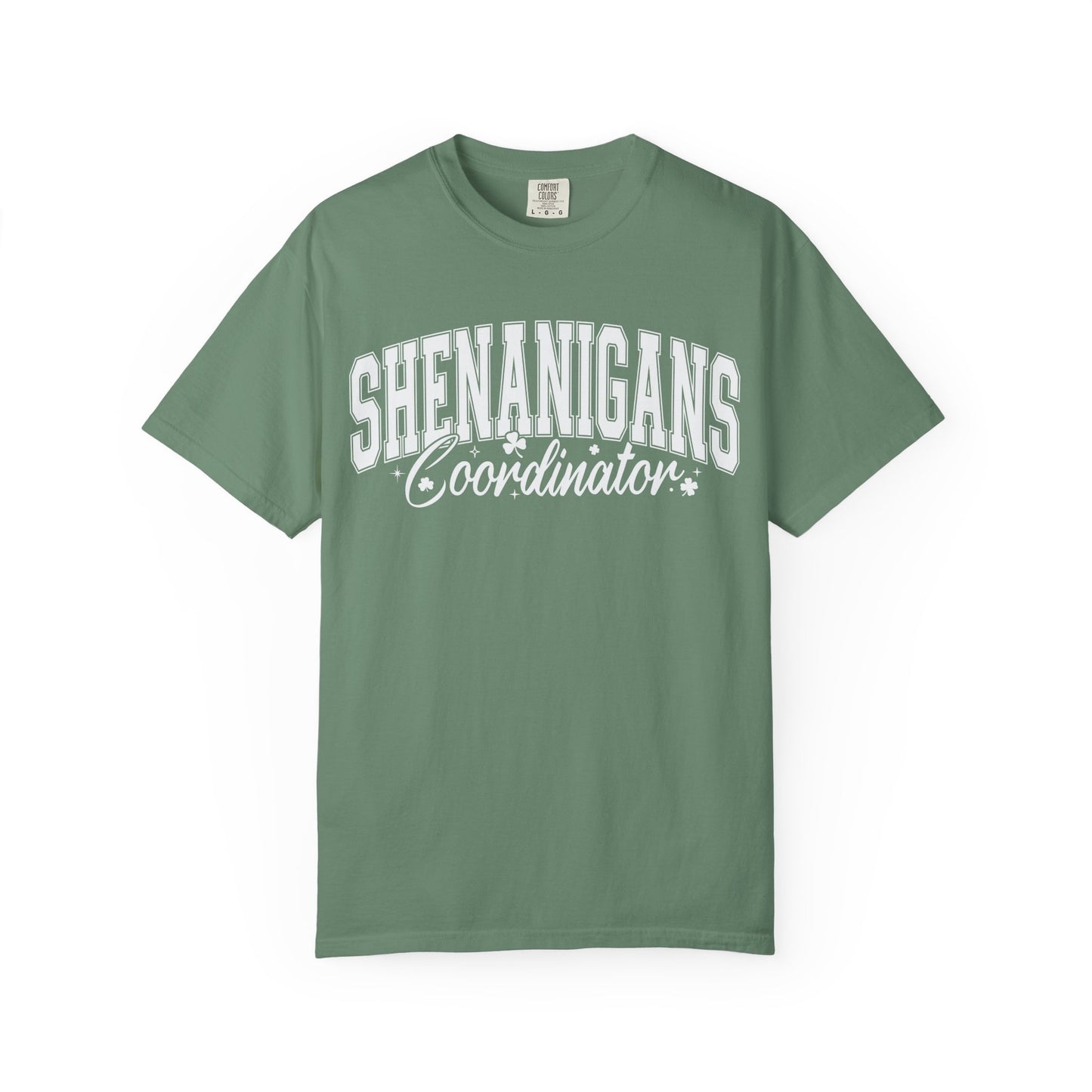 Shenanigans Coordinator Unisex Tee - Fun Casual Wear for Everyday Adventures