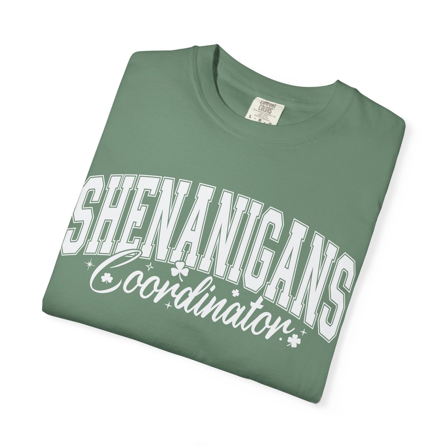 Shenanigans Coordinator Unisex Tee - Fun Casual Wear for Everyday Adventures